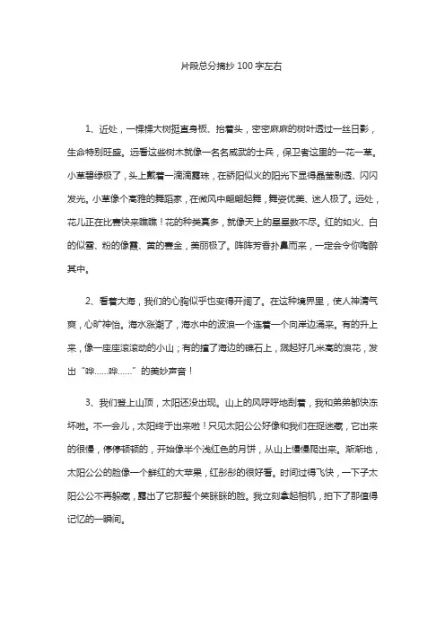 片段总分摘抄100字左右