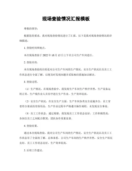 现场查验情况汇报模板