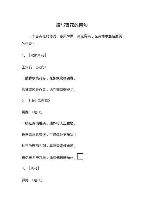 描写杏花的诗句古诗大全