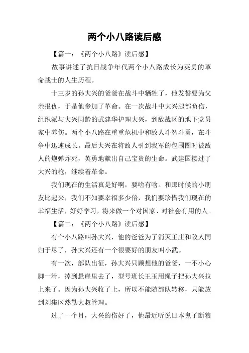 两个小八路读后感