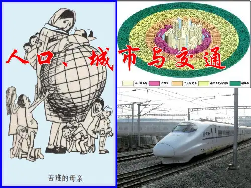 《人口城市与交通》PPT课件