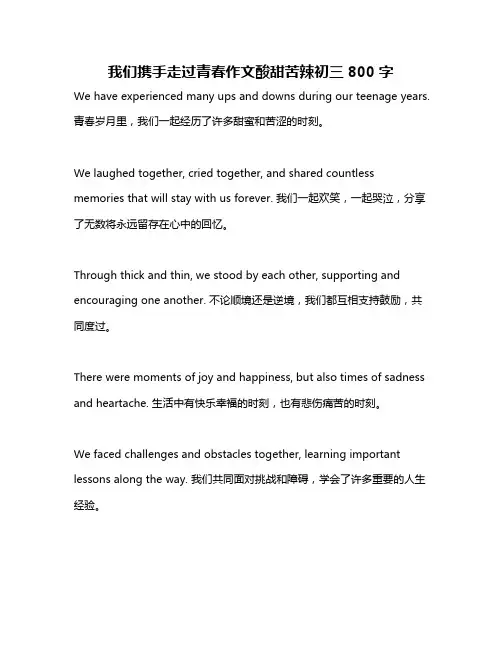 我们携手走过青春作文酸甜苦辣初三800字