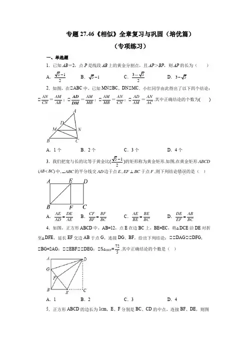 专题27.46 《相似》全章复习与巩固(培优篇)(专项练习)-2022-2023学年九年级数学下册基