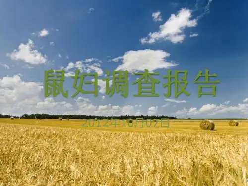 鼠妇调查报告