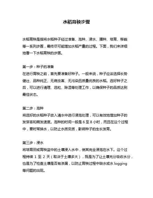 水稻育秧步骤
