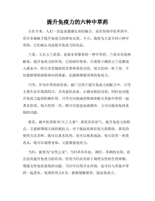 提升免疫力的六种中草药