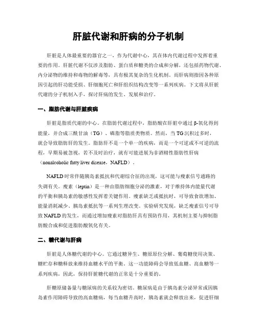 肝脏代谢和肝病的分子机制