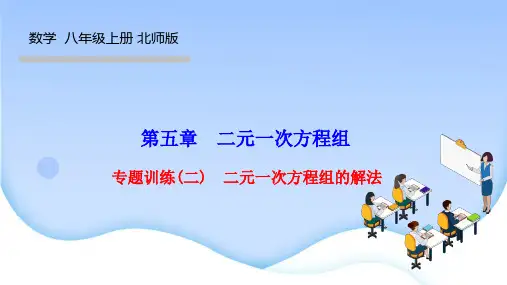 北师版八年级数学上册作业课件(BS) 第五章 二元一次方程组 专题训练(二) 二元一次方程组的解法