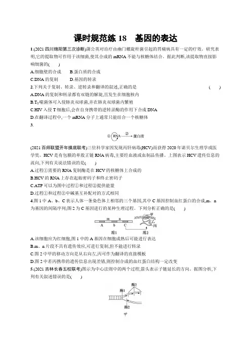2023年老高考生物一轮复习练习18 基因的表达