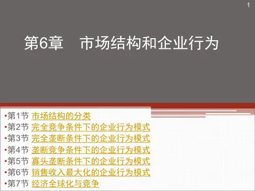 宏观经济学 第六章 市场结构