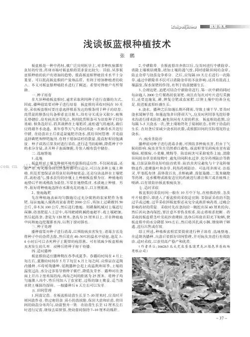 浅谈板蓝根种植技术
