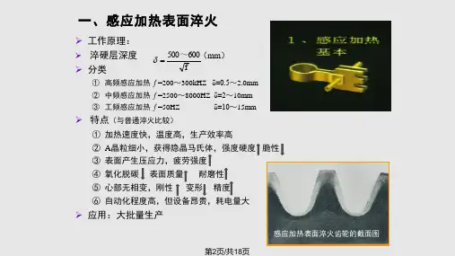 表面热处理分析.pptx