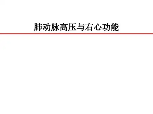 肺动脉高压与右心功能