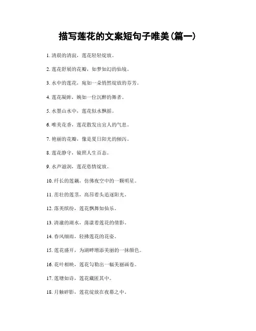 描写莲花的文案短句子唯美(精选2篇)