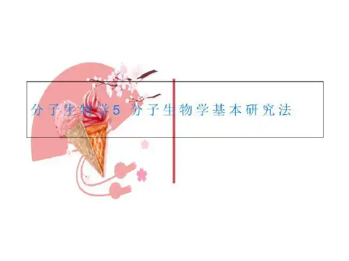 分子生物学5 分子生物学基本研究法