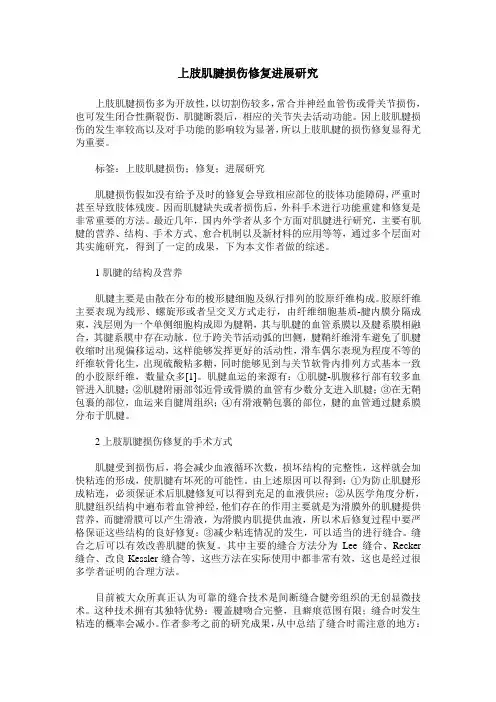 上肢肌腱损伤修复进展研究