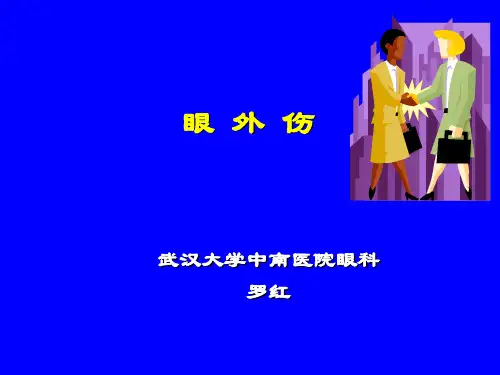 眼外伤xi讲PPT课件