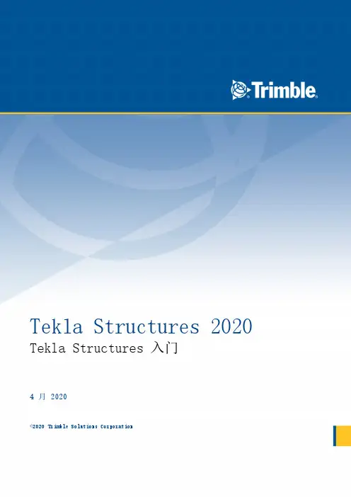 2021年最新TeklaStructures2020基础入门教程中文版-50页