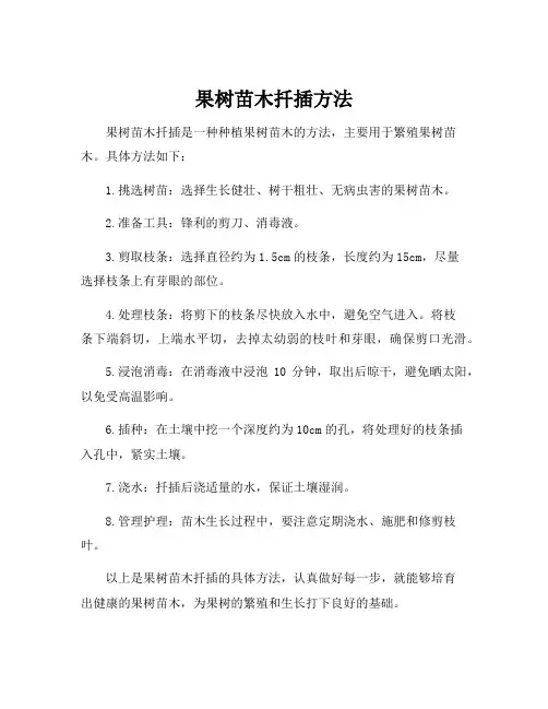 果树苗木扦插方法