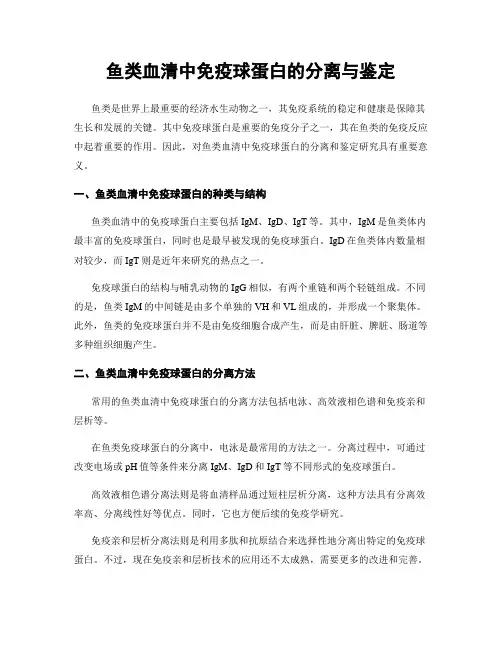 鱼类血清中免疫球蛋白的分离与鉴定