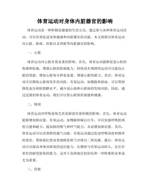 体育运动对身体内脏器官的影响