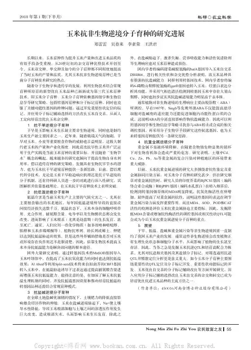 玉米抗非生物逆境分子育种的研究进展
