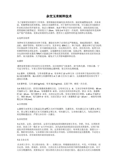 杂交玉米制种技术
