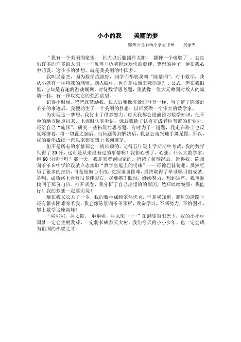 小小的我   美丽的梦