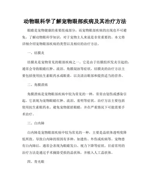 动物眼科学了解宠物眼部疾病及其治疗方法