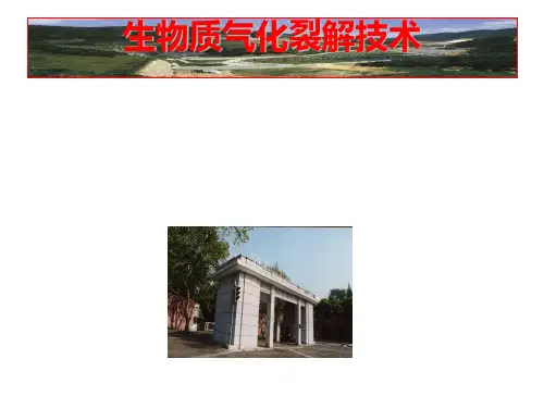生物质气化裂解技术-PPT演示文稿