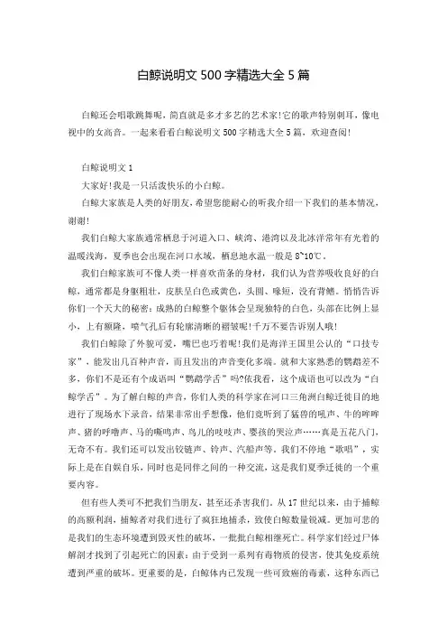 白鲸说明文500字精选大全5篇