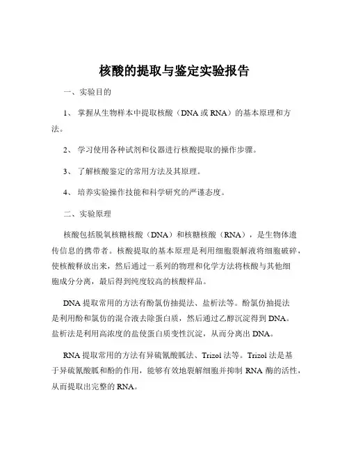 核酸的提取与鉴定实验报告