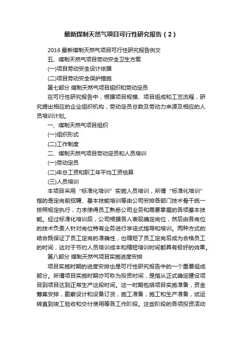 最新煤制天然气项目可行性研究报告（2）