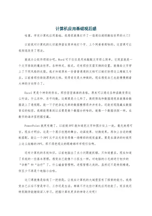 计算机应用基础观后感