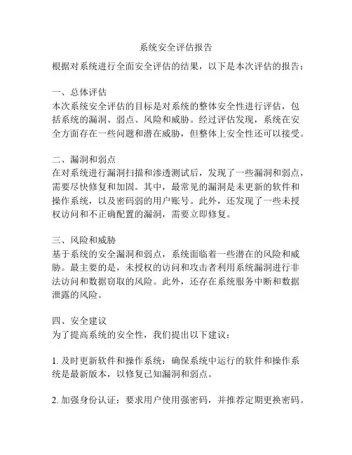 系统安全评估报告