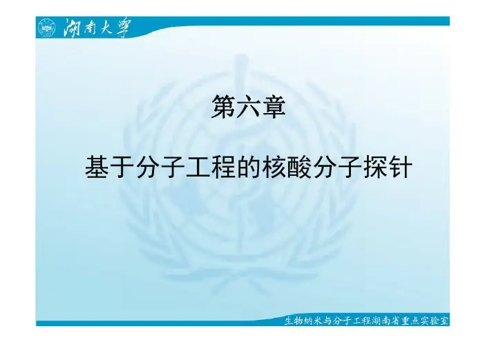 第6章 核酸分子探针