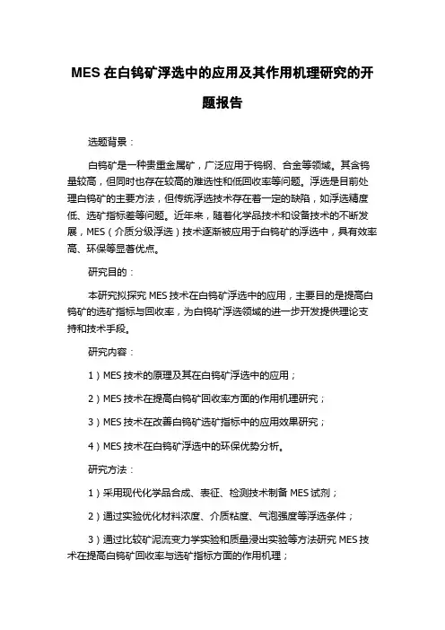 MES在白钨矿浮选中的应用及其作用机理研究的开题报告