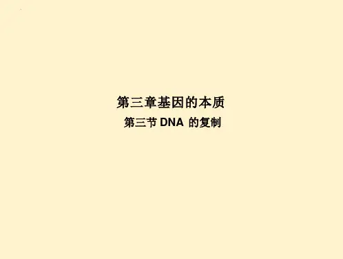 DNA的复制课件-2023-2024学年高一下学期生物人教版(2019)必修2