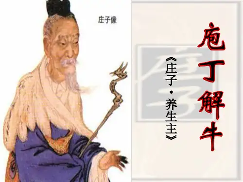 庖丁解牛讲义非常全面细致