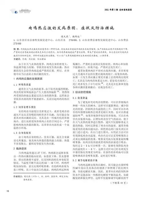 肉鸡热应激的发病原因、症状及防治措施