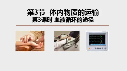 体内物质的运输(第3课时PPT课件(初中科学)15张)
