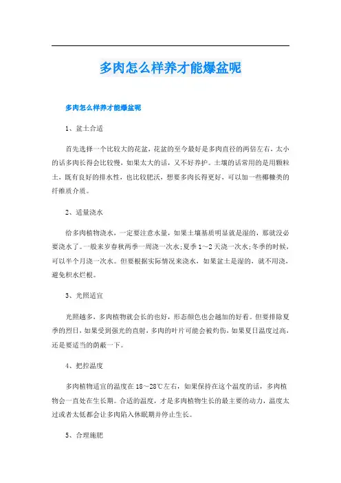 多肉怎么样养才能爆盆呢