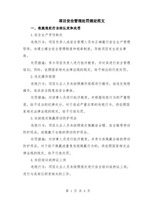 项目安全管理处罚规定范文