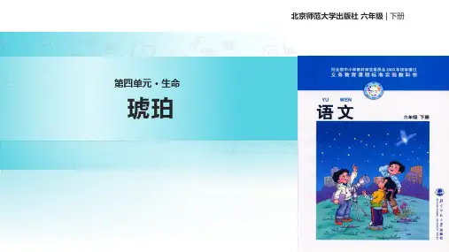 六年级下册语文课件4.2琥珀｜北师大版 (共23张PPT)