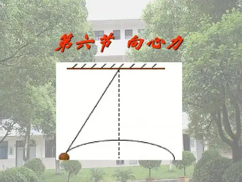 第六节 向心力