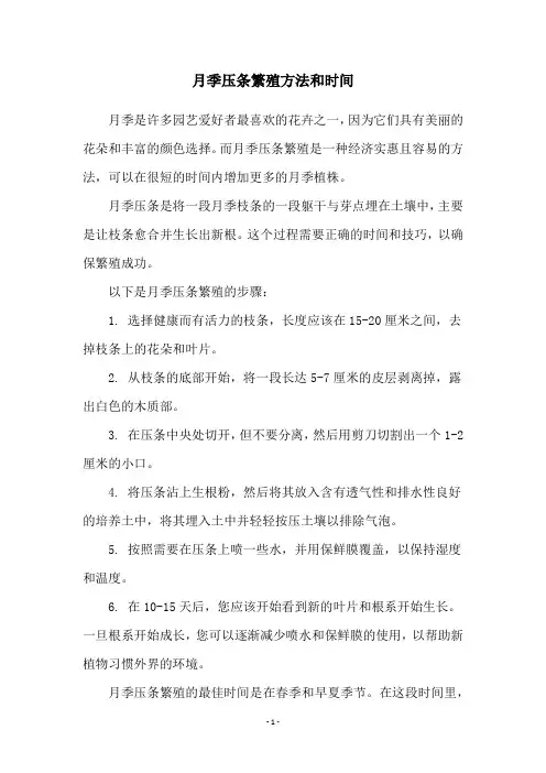 月季压条繁殖方法和时间
