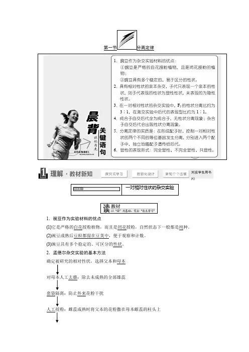 浙科版高中生物必修二学案(全册共27份word可编辑含答案)