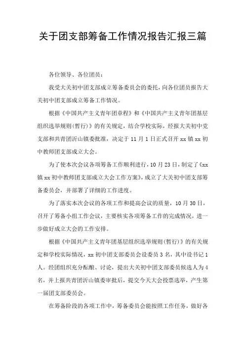 关于团支部筹备工作情况报告汇报三篇