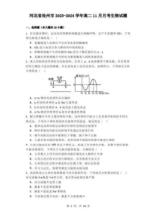 河北省沧州市2023-2024学年高二11月月考生物试题