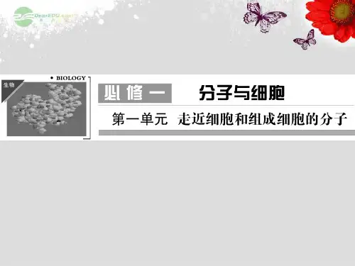 高考生物一轮复习 第一单元 第1讲 走近细胞课件 新人教版必修1